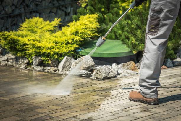 Best Pre-Holiday Cleaning  in Coralville, IA