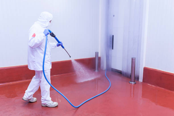 Best Paint Preparation  in Coralville, IA
