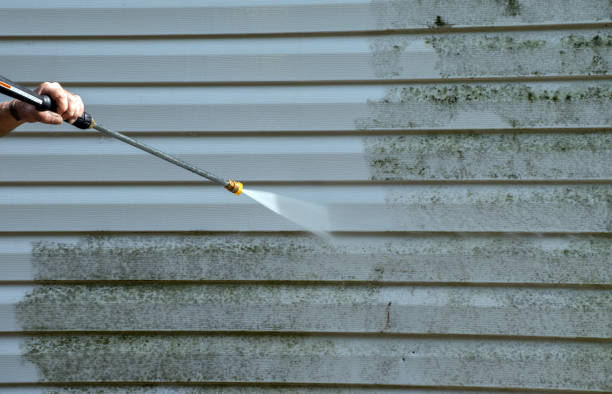Best Sidewalk and Walkway Cleaning  in Coralville, IA