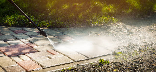 Best Animal Enclosure Cleaning  in Coralville, IA